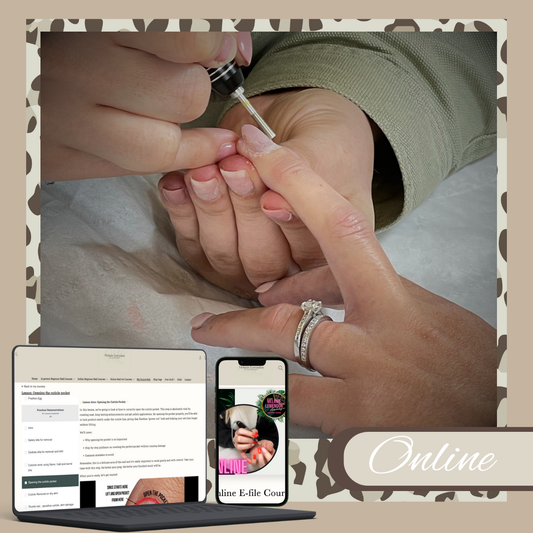 Online E-file Course